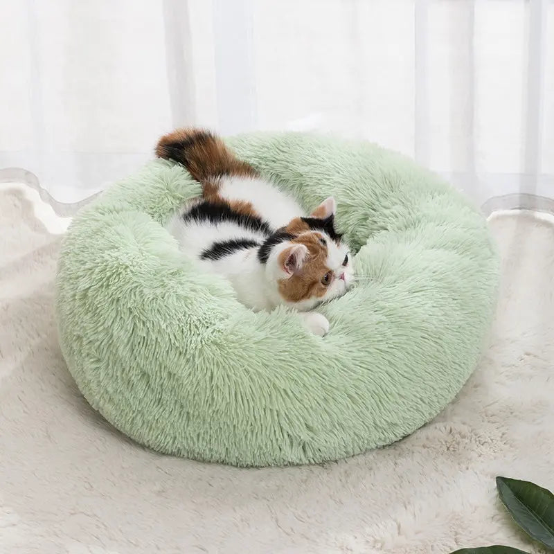 Cama de peluche para animais de estimação